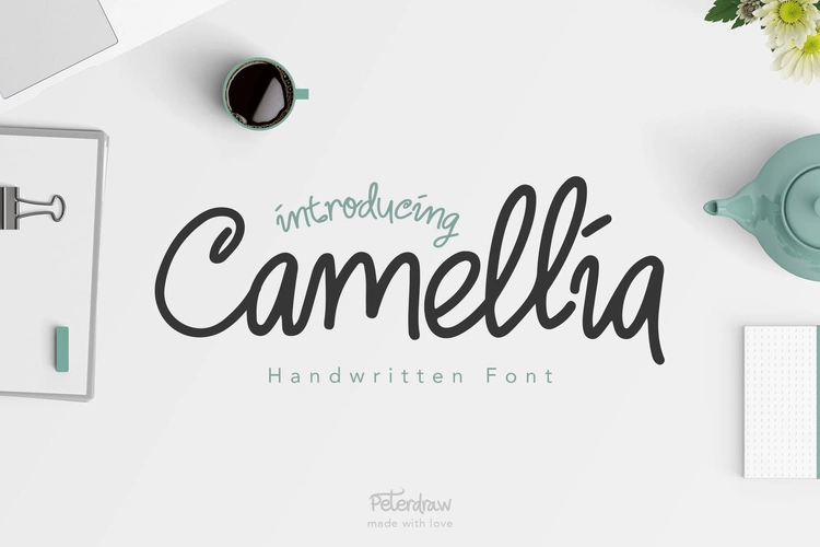 优雅山茶花主题手写英文字体 camellia handwritten font – 设计小咖