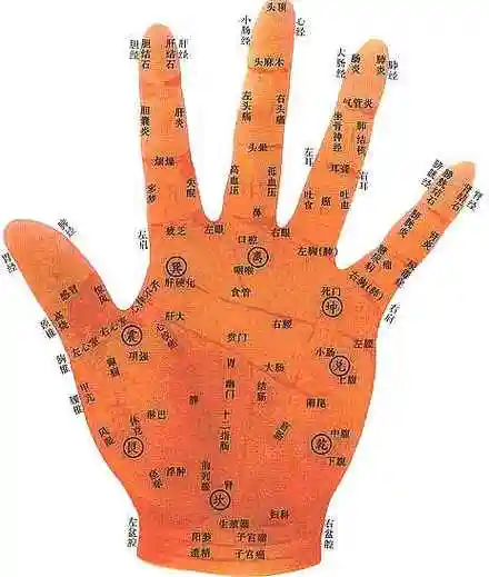 100种疾病手诊快速索引!