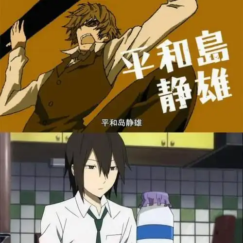 兄弟情你最喜欢哪一对动漫兄弟