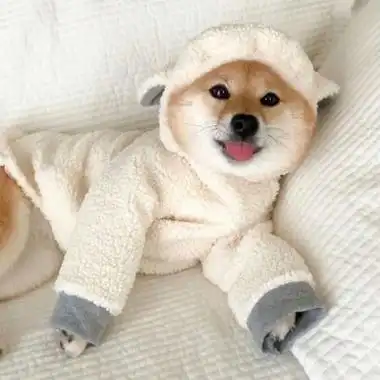 微信可爱狗狗头像蠢萌