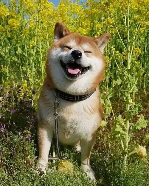 1080_1346竖版 竖屏