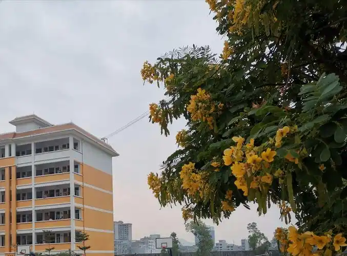 智慧在互动中碰撞,灵感在交流中迸发……都安二高高二物理备课组第四