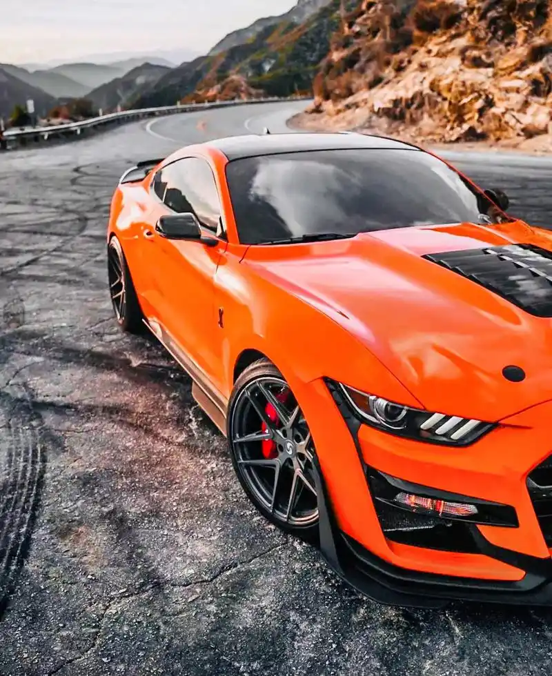 谢尔比gt500 #野马 #mustang #黑武士系列  - 抖音