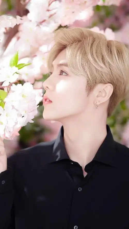 鹿晗出道时仅仅凭借名字和颜值就惊艳了众人