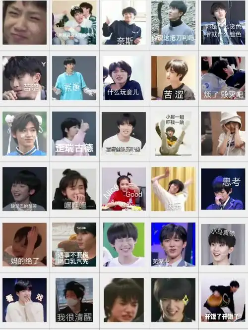 tnt时代少年团表情包