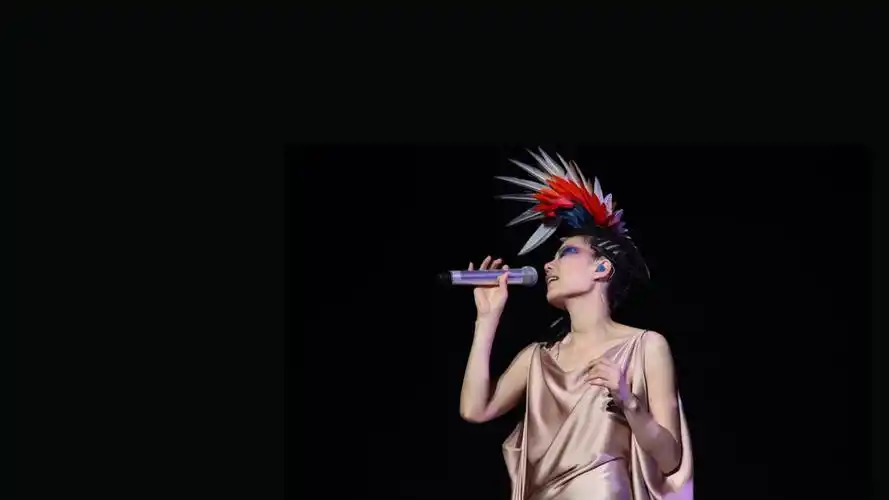 王菲演唱会图片菲姐高雅大气写真图片(二)_娱乐八卦_美桌网