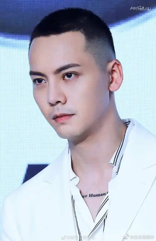 陈伟霆你以正能量的形象驻进我心灵的驿站公益篇