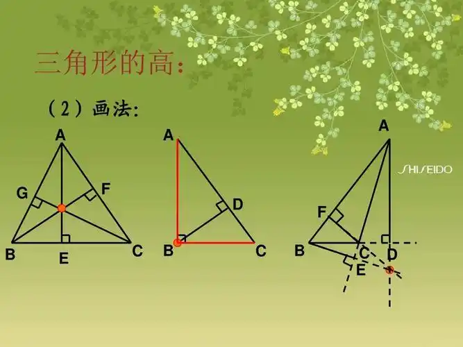 1.2三角形的高,中线,角平分线ppt