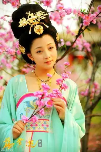 杨贵妃秘史美女谱 剧照揭秘历史原型