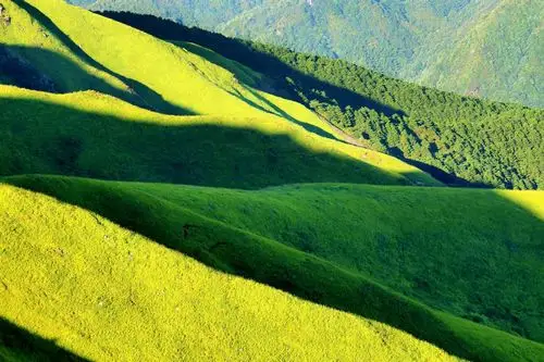 连绵的山岭,无边的高山草甸在阳光的映衬下,黄绿相间,蔚为壮观