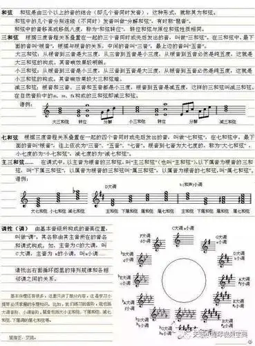 初学小提琴,这些知识你一定用得上!