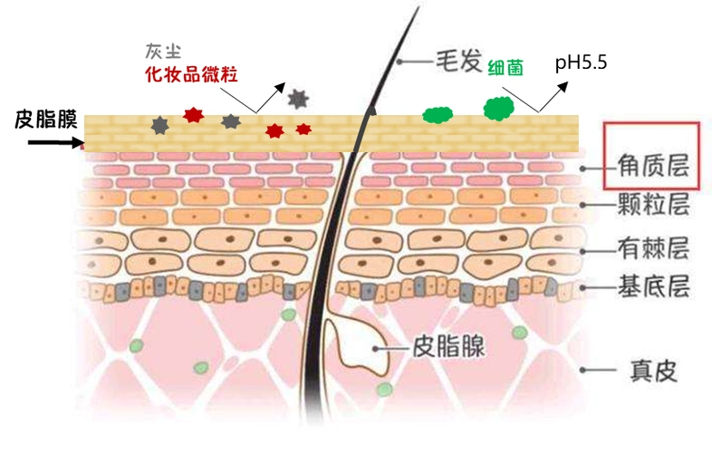 你知道洗面奶真实的逻辑吗?你每天在用的东西也许正在伤害你 – 诸事