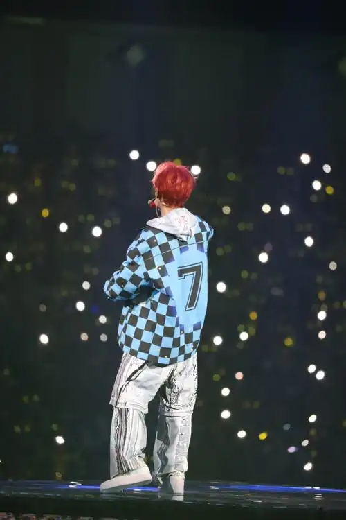 鹿晗演唱会背影图##鹿晗三巡