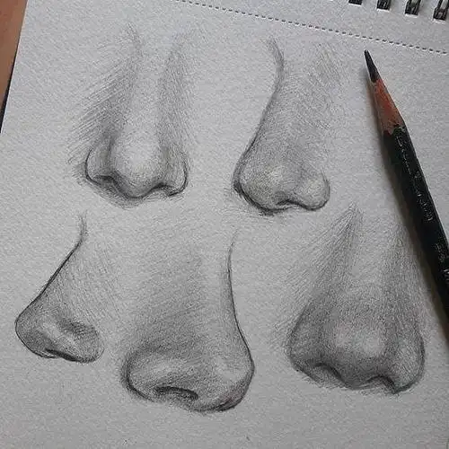 素描鼻子的具体画法