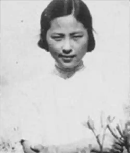 原创高青子见偶像衣服袖口一抹紫沈从文这不是我小说女主的打扮