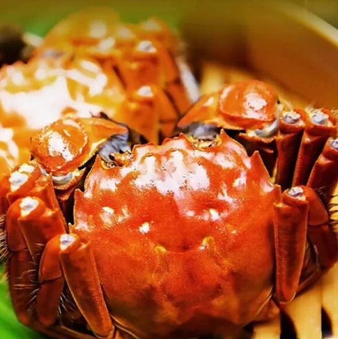 苏州怎么能在网上买到阳澄湖大闸蟹哪卖