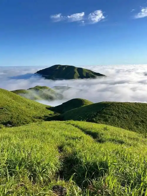 徒步华东顶流武功山!行走在云端草甸,穿梭于高山云海!