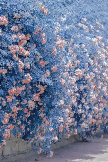 温旎winnie764壁纸dyuinso礼貌拿图芜咚咚2条图片评论发布到壁纸小白