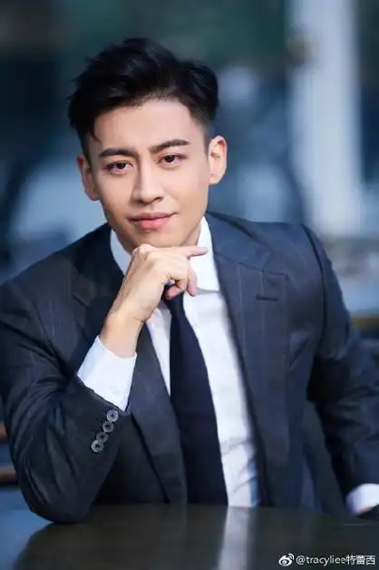 2013年,出演个人首部电视剧《神犬奇兵》 .