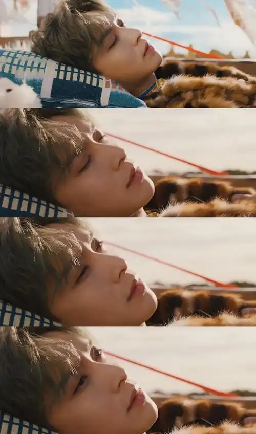 张艺兴 梦不落雨林 /namanana