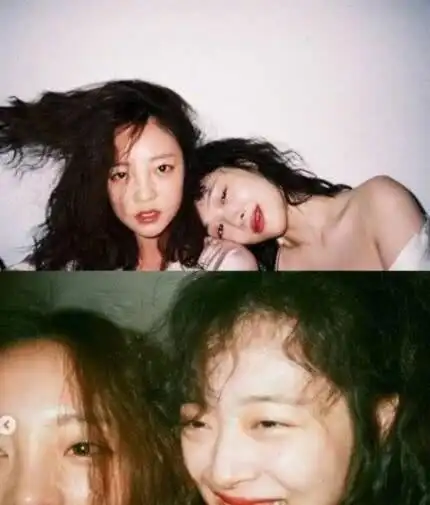 悲伤曾说带着雪莉那份活下去的具荷拉竟也随雪莉走了