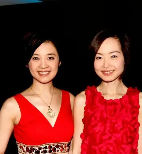 因此,即便许戈辉如鲁豫一般,曾一度成为凤凰卫视的耀眼明星,她在国内