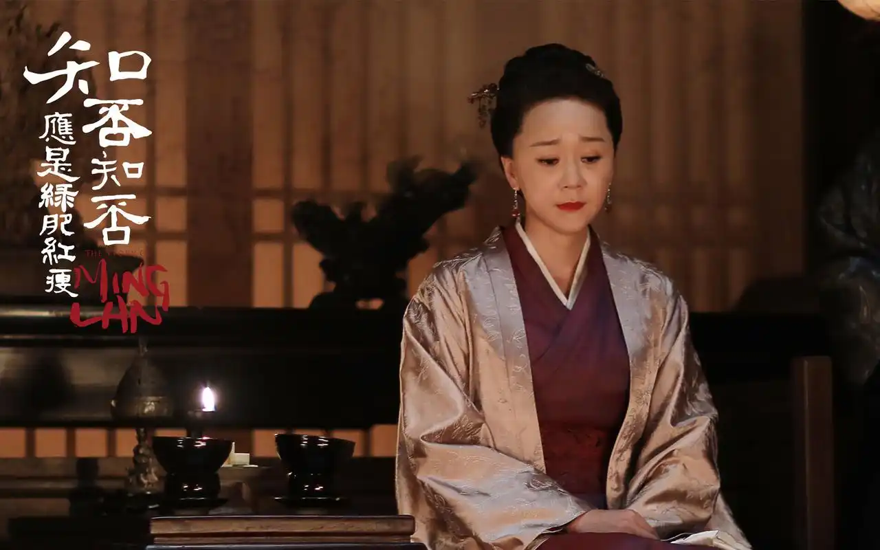 《知否知否应是绿肥红瘦》王一楠剧照图片壁纸