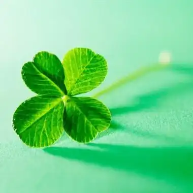 幸运草头像,2020非常好看的幸运草微信头像图片