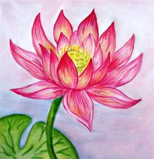 画画图片大全风景铅笔画荷花画画大全画恐龙铅笔画.