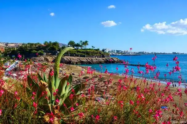 玫瑰海岸一日游完美攻略:享受海边的浪漫与乐趣