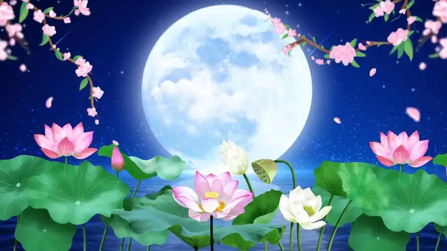 唯美星空流星水面荷花led背景视频