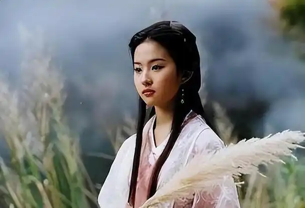 《神雕侠侣》给刘亦菲带来了