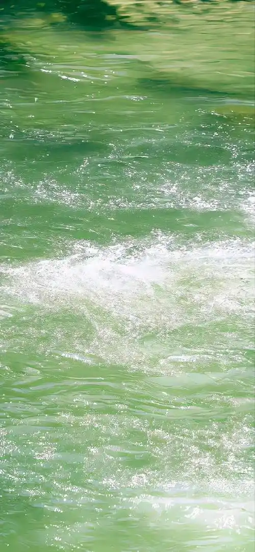 壁纸 | 夏日薄荷绿𝐖𝐚𝐥𝐥𝐩𝐚𝐩𝐞𝐫全面屏壁纸