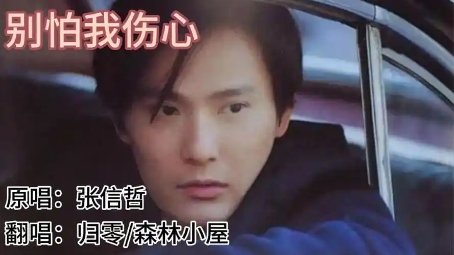 歌曲《别怕我伤心》原唱:张信哲 翻唱:归零/森林小屋