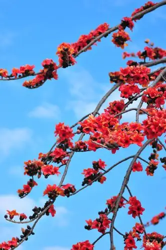 1200_1807竖版 竖屏