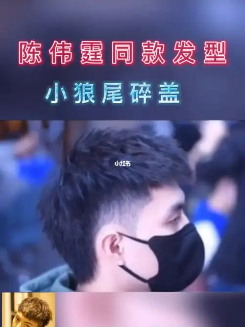 夏天清爽好打理的短发陈伟霆小狼尾碎盖73