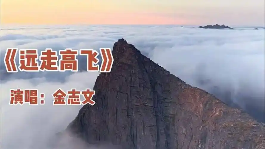 《远走高飞》金志文演唱,音乐,流行音乐,好看视频