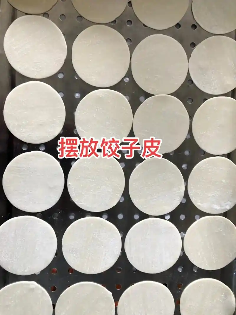 纯手工零添加 给大家分享省时省力的包饺子流水线,菜鸟级别一 - 兑趑