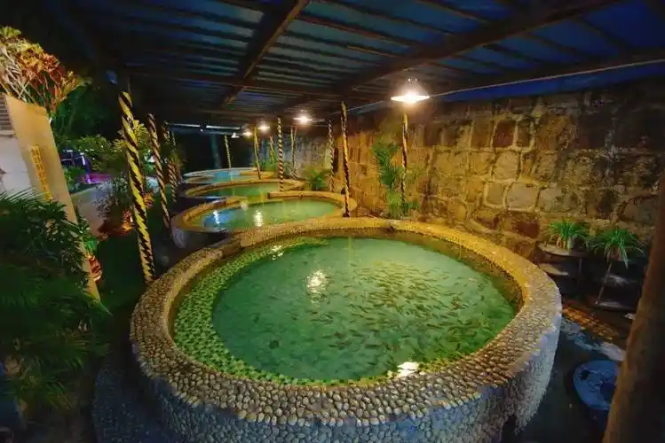 1111元抢汕头市莲花山温泉度假村2大2小套票