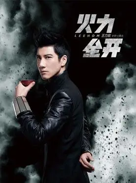 王力宏大连演唱会