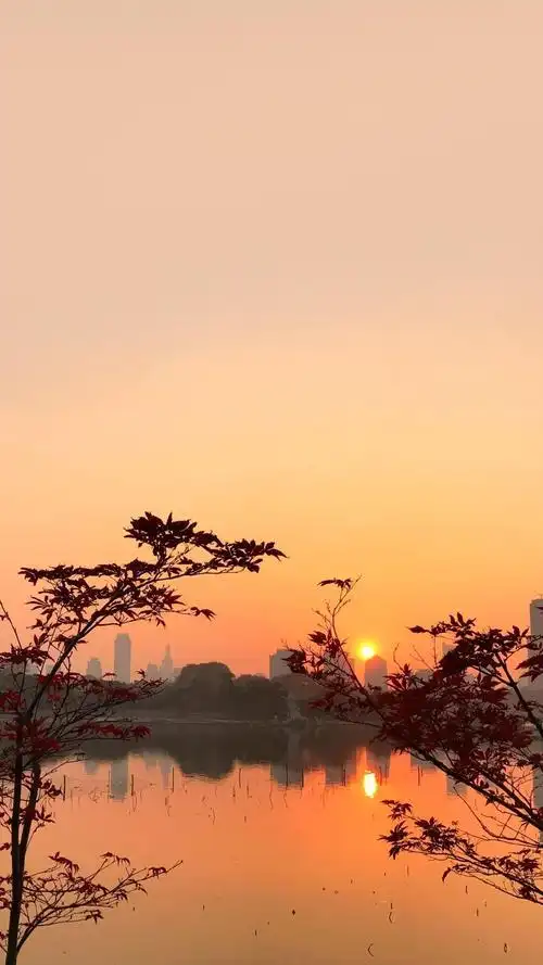 唯美夕阳西下风景手机壁纸