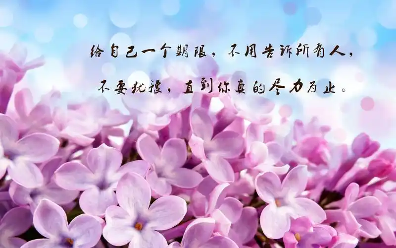 励志,文字图片,治愈系,正能量,励志,说说,句子,文字,治愈,电脑壁纸