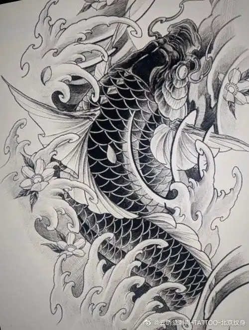 鲤鱼纹身手稿#传统纹身##锦鲤##锦鲤纹身##鲤鱼纹身#北京·优士阁大厦