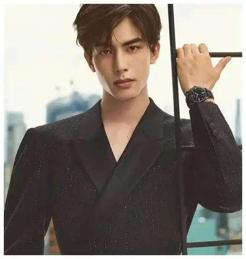 宋威龙的高级颜值是这个行业的标杆如何看待