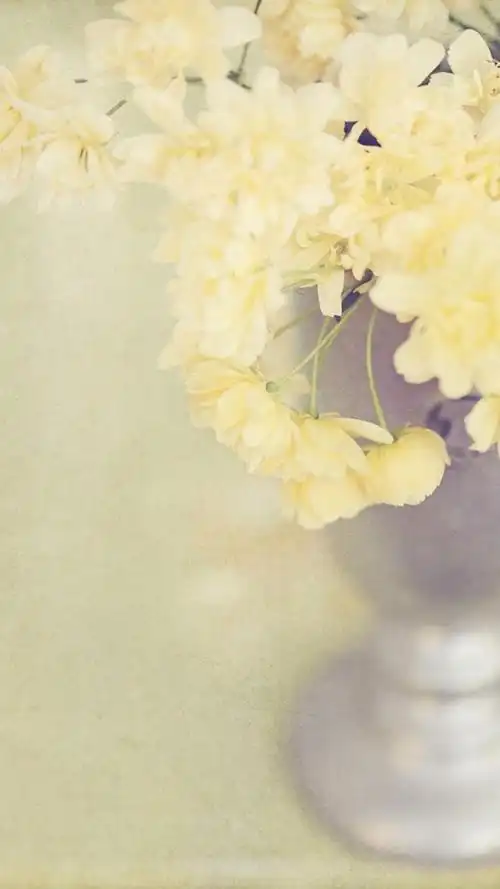 唯美淡雅植物花朵,高清图片,手机锁屏桌面-壁纸族