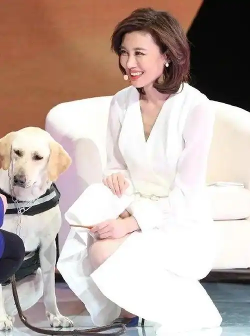 央视主持人李红写真集_网易订阅