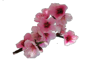 400_243gif 动态图 动图