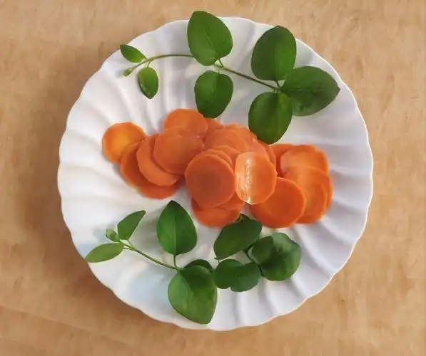 下午茶小记.胡萝卜的花样年华