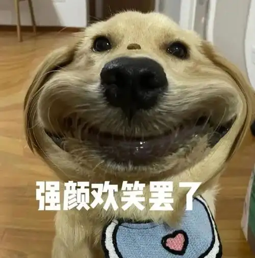 表情包|强颜欢笑罢了 我快乐不起来|朋友圈