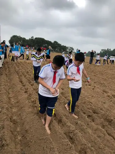 光着小脚丫,踩着松软的土地,体验一下农民的劳耕之乐!